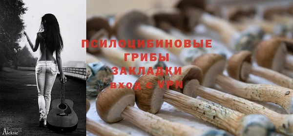 стафф Алексин