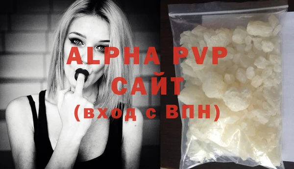 стафф Алексин