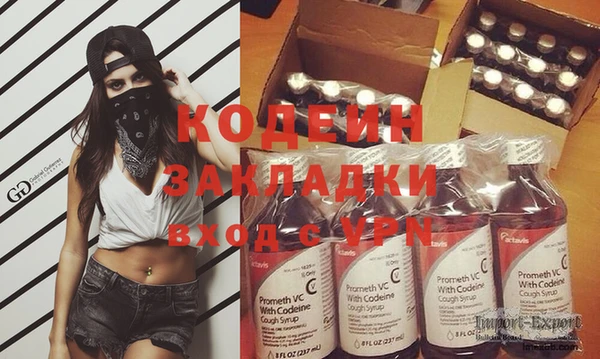 гидра Абаза