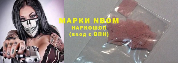 стафф Алексин