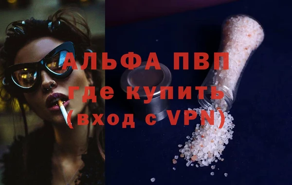 стафф Алексин