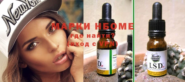 стафф Алексин