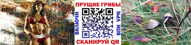 blacksprut ONION  Жердевка  Псилоцибиновые грибы ЛСД 